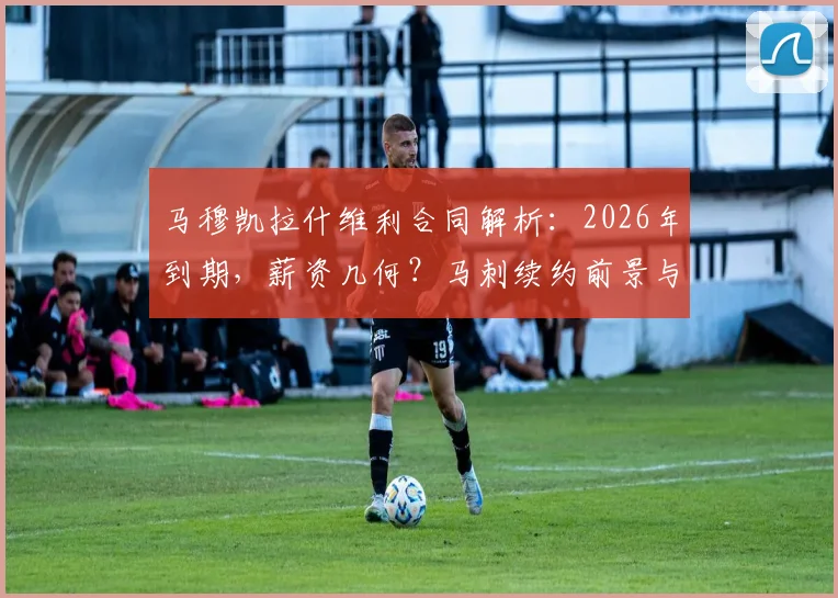 马穆凯拉什维利合同解析：2026年到期，薪资几何？马刺续约前景与球队适配深度分析